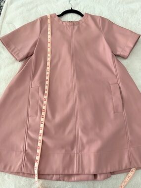 Anthropologie Maeve Dusty Rose Mini Dress